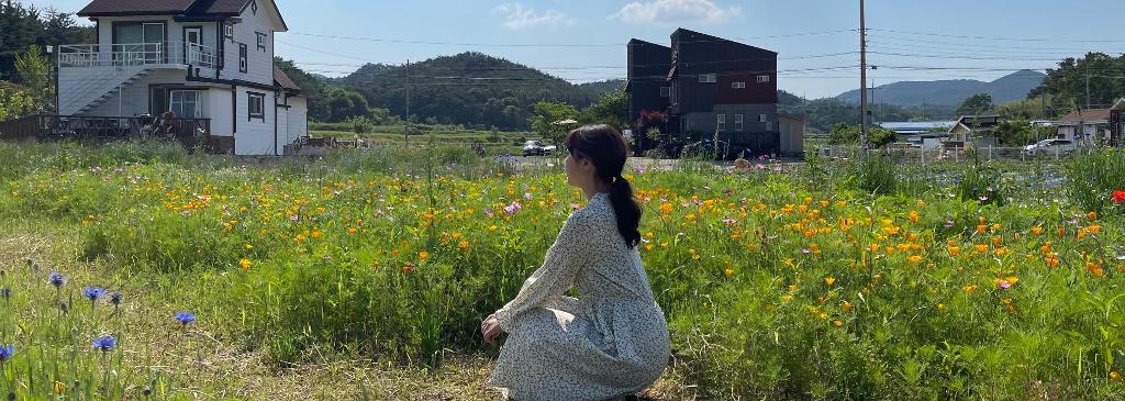 大邱の花畑と街の風景